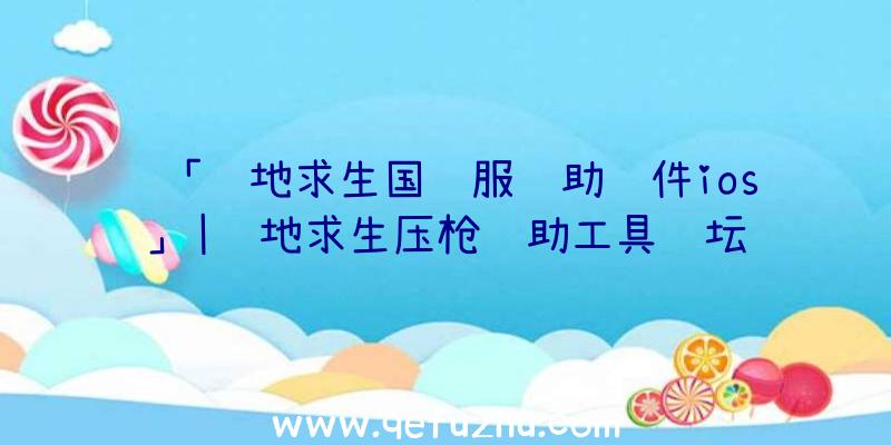 「绝地求生国际服辅助软件ios」|绝地求生压枪辅助工具论坛